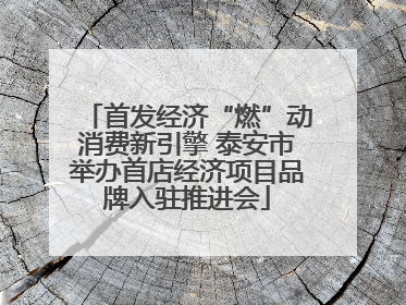 首发经济“燃”动消费新引擎 泰安市举办首店经济项目品牌入驻推进会