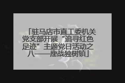 驻马店市直工委机关党支部开展“追寻红色足迹”主题党日活动之八——鏖战独树镇