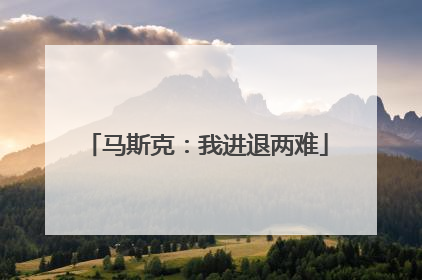 马斯克：我进退两难