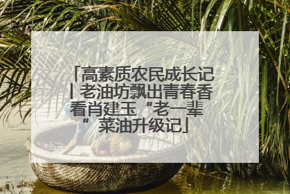 高素质农民成长记丨老油坊飘出青春香 看肖建玉“老一辈”菜油升级记