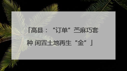 高县：“订单”苎麻巧套种 闲置土地再生“金”
