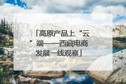 高原产品上“云”端——西藏电商发展一线观察