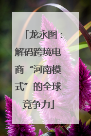龙永图：解码跨境电商“河南模式”的全球竞争力