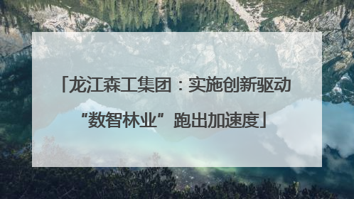 龙江森工集团：实施创新驱动 “数智林业”跑出加速度