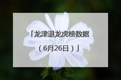 龙津退龙虎榜数据（6月26日）