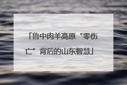 鲁中肉羊高原“零伤亡”背后的山东智慧
