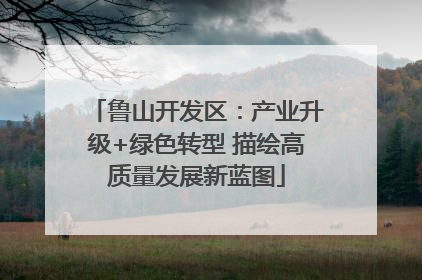 鲁山开发区：产业升级+绿色转型 描绘高质量发展新蓝图