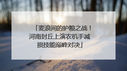 麦浪间的护粮之战！河南封丘上演农机手减损技能巅峰对决