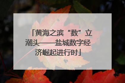 黄海之滨“数”立潮头——盐城数字经济崛起进行时