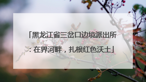 黑龙江省三岔口边境派出所：在界河畔，扎根红色沃土