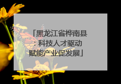 黑龙江省桦南县：科技人才驱动 赋能产业促发展