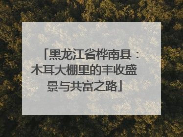黑龙江省桦南县：木耳大棚里的丰收盛景与共富之路