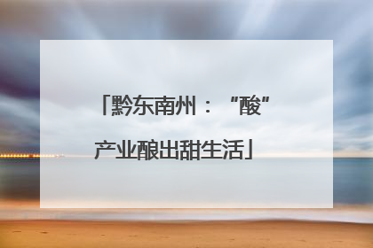 黔东南州：“酸”产业酿出甜生活