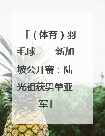 （体育）羽毛球——新加坡公开赛：陆光祖获男单亚军