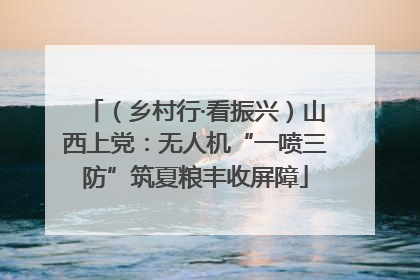 （乡村行·看振兴）山西上党：无人机“一喷三防”筑夏粮丰收屏障