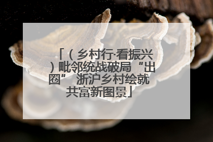 （乡村行·看振兴）毗邻统战破局“出圈” 浙沪乡村绘就共富新图景
