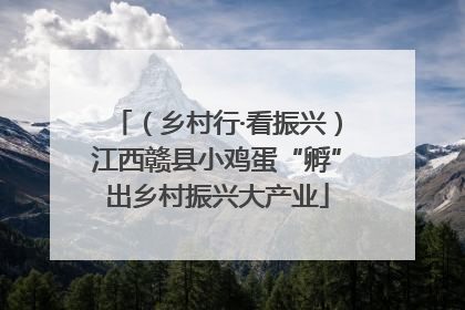 （乡村行·看振兴）江西赣县小鸡蛋“孵”出乡村振兴大产业