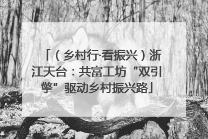 （乡村行·看振兴）浙江天台：共富工坊“双引擎”驱动乡村振兴路