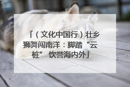 （文化中国行）壮乡狮舞闯南洋：脚踏“云桩” 饮誉海内外