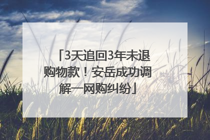 3天追回3年未退购物款！安岳成功调解一网购纠纷