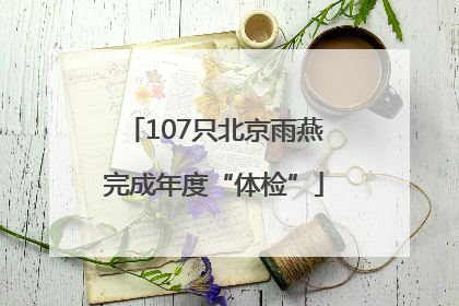 107只北京雨燕完成年度“体检”
