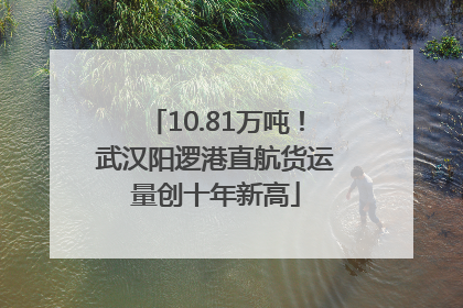 10.81万吨！武汉阳逻港直航货运量创十年新高