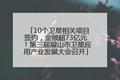 10个卫星相关项目签约，金额超73亿元！第三届眉山市卫星应用产业发展大会召开