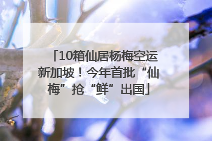 10箱仙居杨梅空运新加坡！今年首批“仙梅”抢“鲜”出国