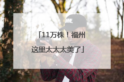 11万株！福州这里太太太美了