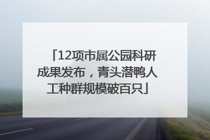 12项市属公园科研成果发布，青头潜鸭人工种群规模破百只