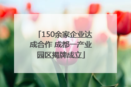 150余家企业达成合作 成都一产业园区揭牌成立