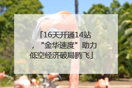 16天开通14站，“金华速度”助力低空经济破局腾飞