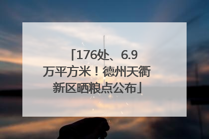 176处、6.9万平方米！德州天衢新区晒粮点公布