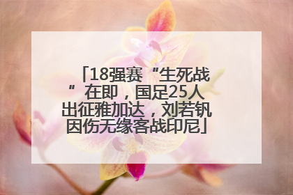 18强赛“生死战”在即，国足25人出征雅加达，刘若钒因伤无缘客战印尼