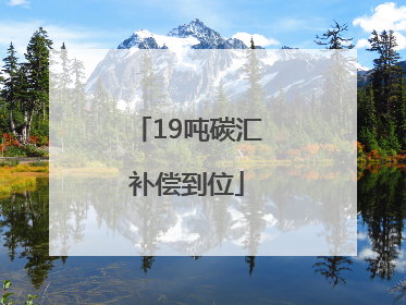 19吨碳汇补偿到位