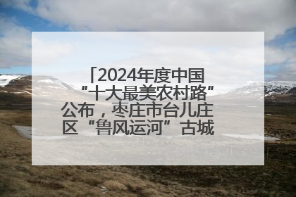 2024年度中国“十大最美农村路”公布，枣庄市台儿庄区“鲁风运河”古城文化廊道上榜！