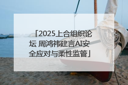 2025上合组织论坛 周鸿祎建言AI安全应对与柔性监管