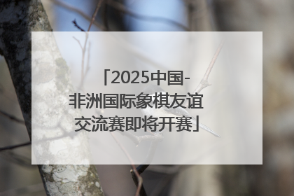 2025中国-非洲国际象棋友谊交流赛即将开赛