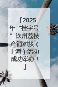 2025年“桂字号”钦州荔枝产销对接（上海）活动成功举办！