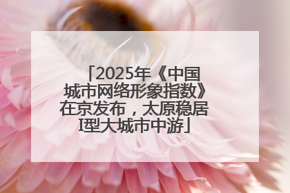 2025年《中国城市网络形象指数》在京发布，太原稳居I型大城市中游
