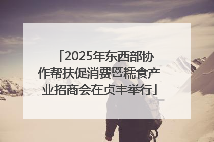 2025年东西部协作帮扶促消费暨糯食产业招商会在贞丰举行