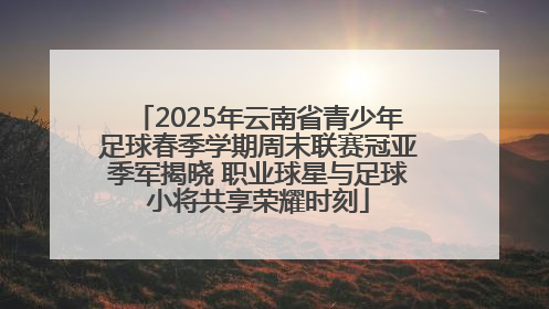 2025年云南省青少年足球春季学期周末联赛冠亚季军揭晓 职业球星与足球小将共享荣耀时刻
