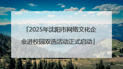 2025年沈阳市网络文化企业进校园双选活动正式启动