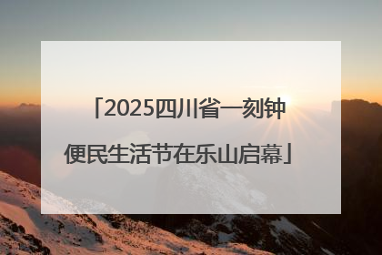2025四川省一刻钟便民生活节在乐山启幕