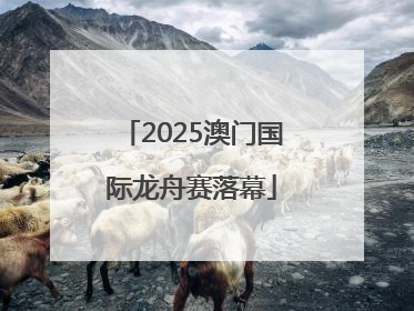 2025澳门国际龙舟赛落幕