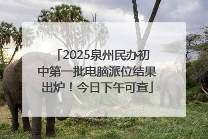 2025泉州民办初中第一批电脑派位结果出炉！今日下午可查