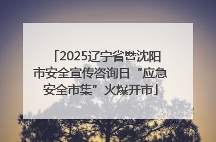 2025辽宁省暨沈阳市安全宣传咨询日“应急安全市集”火爆开市