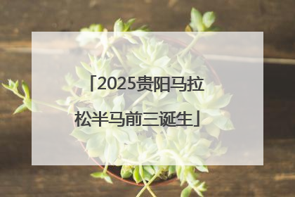 2025贵阳马拉松半马前三诞生