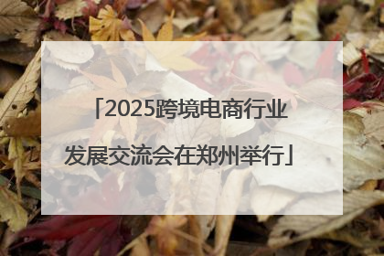 2025跨境电商行业发展交流会在郑州举行