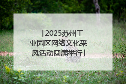 2025苏州工业园区网络文化采风活动圆满举行